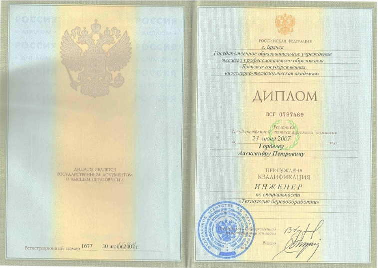 Диплом Александра Гордеева.